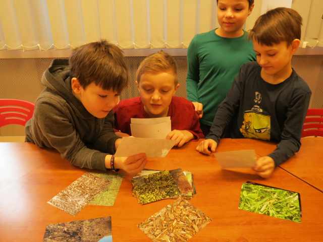 Hmyzáci, ZŠ Podkrušnohorská Litvínov, 18.3.2016